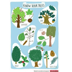 Free Woodland Posters