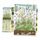 Free Green Planet Poster