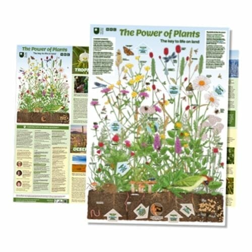 Free Green Planet Poster