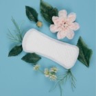 Free Biodegradable Sanitary Pads from Planera