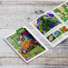 Free Gardening Catalogue