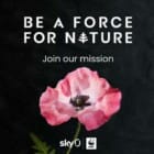 Free Poppy Seeds from the WWF