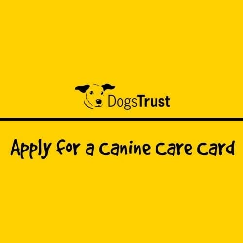 Free Canine Care Card from Dogs Trust WOW Freebies