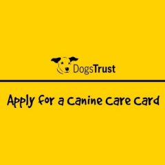 Free Canine Care Card from Dogs Trust