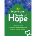 Free Cornflower Seeds from Morrisons