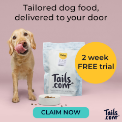 Free Dog Food for 2 Weeks – Tailored for Them