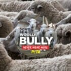 Free Stickers from PETA