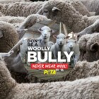 Free Stickers from PETA