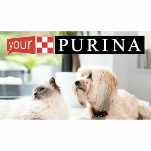 Free Pet Food from Purina