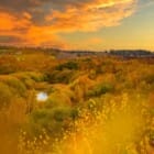 Free Entry to RSPB Nature Reserves