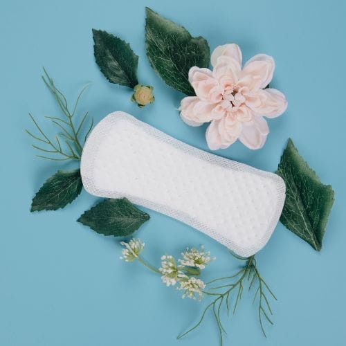 Free Fluss Sanitary Pads