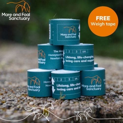 Free Weigh Tapes for Horses