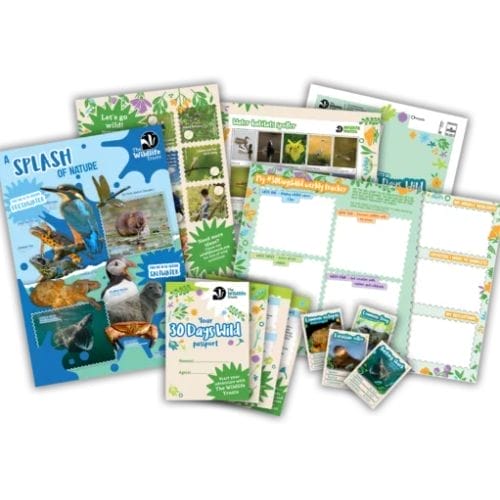 Free The Wildlife Trusts Activity Packs