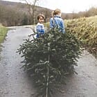 Free Gardening Workshops for Kids