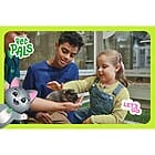 Free Pets at Home Workshops Feb 26