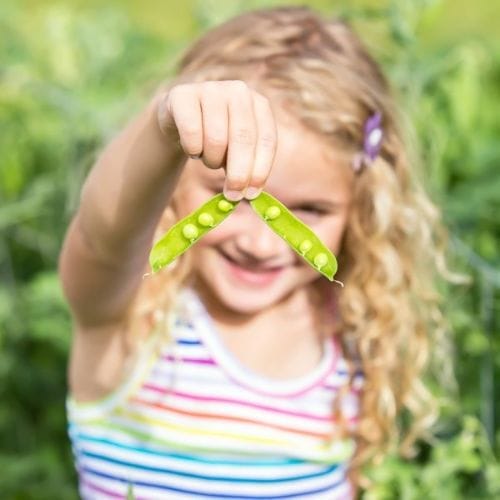 Free Gardening Workshops for Kids March 26
