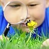 Free Gardening Workshops for Kids June 26