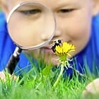 Free Gardening Workshops for Kids June 26