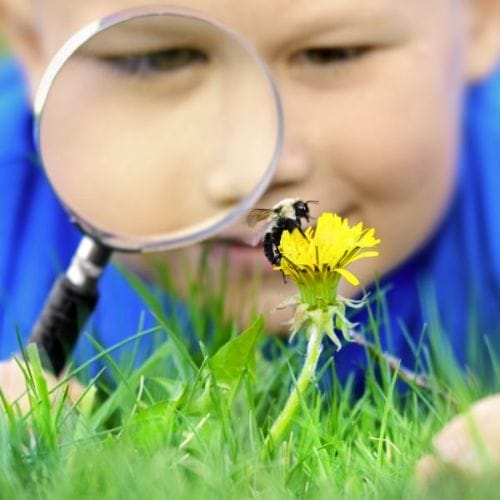 Free Gardening Workshops for Kids June 26